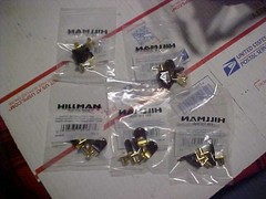 Qty 20 Shelf Bracket Pins Brass Plated Steel 1/4″ peg for Cabinet/Bookcase