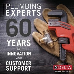 Delta Faucet 72030-CZ Disposal and Flange Stopper, Kitchen, Champag… Fast Ship