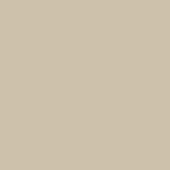 AccuColor 100 100% Silicone Sealant 10.5 oz (19 Colors)