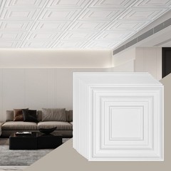 Ceiling Tiles, 12-Pack 24 x 24 in, Drop Ceiling Tiles Premium PVC Sheet, Easy In