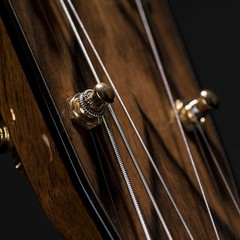 Round Titanium Wrapped Acoustic Guitar Strings w/ Light Tension for Lasting Tone