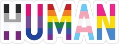 Rainbow Flag LGBT+ Pride Vinyl Decal Sticker for Car, Bumper, Truck or Laptop, 6