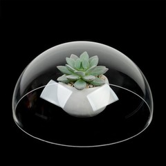 Diameter 50mm-300mm Acrylic PMMA Clear Dome Shape Rimless Dust Cover Select Size
