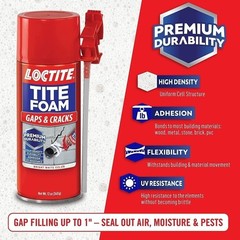 Loctite Tite Foam Gaps & Cracks Insulating Foam Sealant (2-Pack)