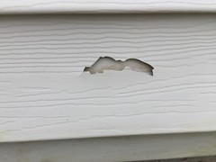 SmartPatch Vinyl Siding Repair Kit: 2 Large Durable Self-Adhesive Patches EASY!!