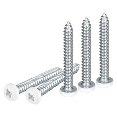 DTGN #10×1-1/4 White Screws 100Pack – Zinc Plated Carbon #10×1-1/4″, Silver