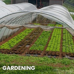 Plastic Sheeting 10′ x 20′ , 6 Mil, UV, Virgin LDPE, Clear