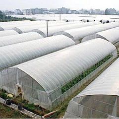 Greenhouse Clear Plastic Film Polyethylene Covering 6 Mil, 12ft x 25ft