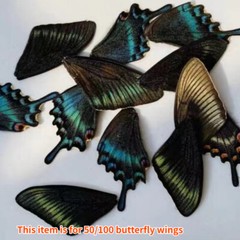 50/100pcs Real Butterfly Wings Specimens Jewelry DIY Craft Artwork Art Material