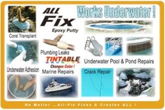 All Fix Premium Epoxy Putty – Wood Rot Deck Window Door Termite Damage Repair