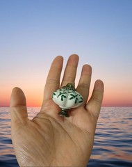 Ivory Green Ceramic Pumpkin Knobs Vintage Cabinet Drawer Pulls Set 4 Pcs L