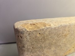 Natural Stone Bull Nose Grecian Gold Pool Coping Stone 12″x4″x1-1/2″ Frost Free