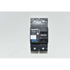 18627 Schneider Magnetic Thermal Switch NG125N 2P 50Amp C 25KA